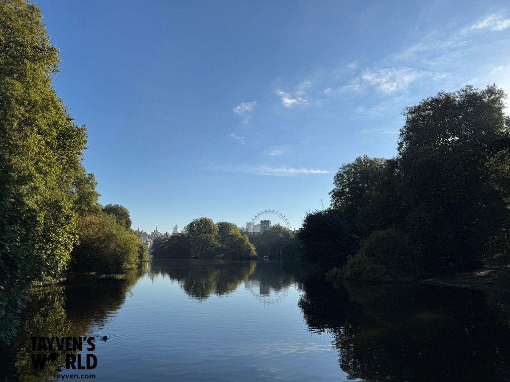 St James’s Park pond with trees and reflections, looking toward the London Eye in the distance.