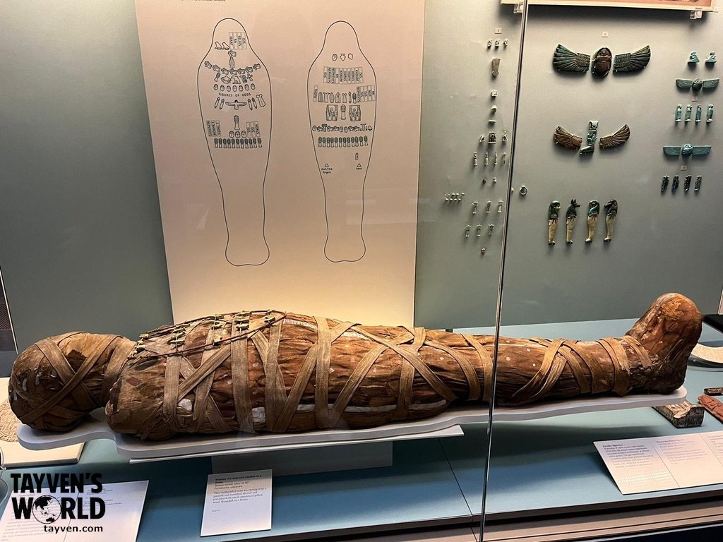 Egyptian Mummy Exhibit Ancient Egyptian mummy wrapped in linen bandages displayed in a museum case with amulets shown behind it.