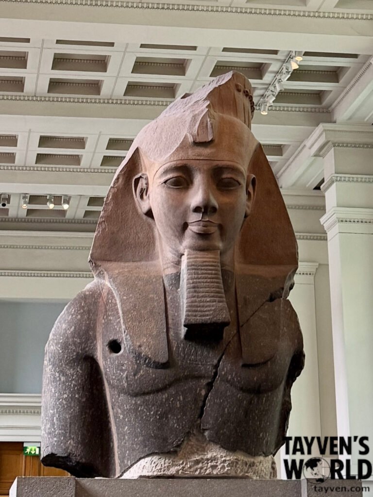 Colossal Bust of Ramesses II Large stone statue of Pharaoh Ramesses II displayed in a museum gallery.