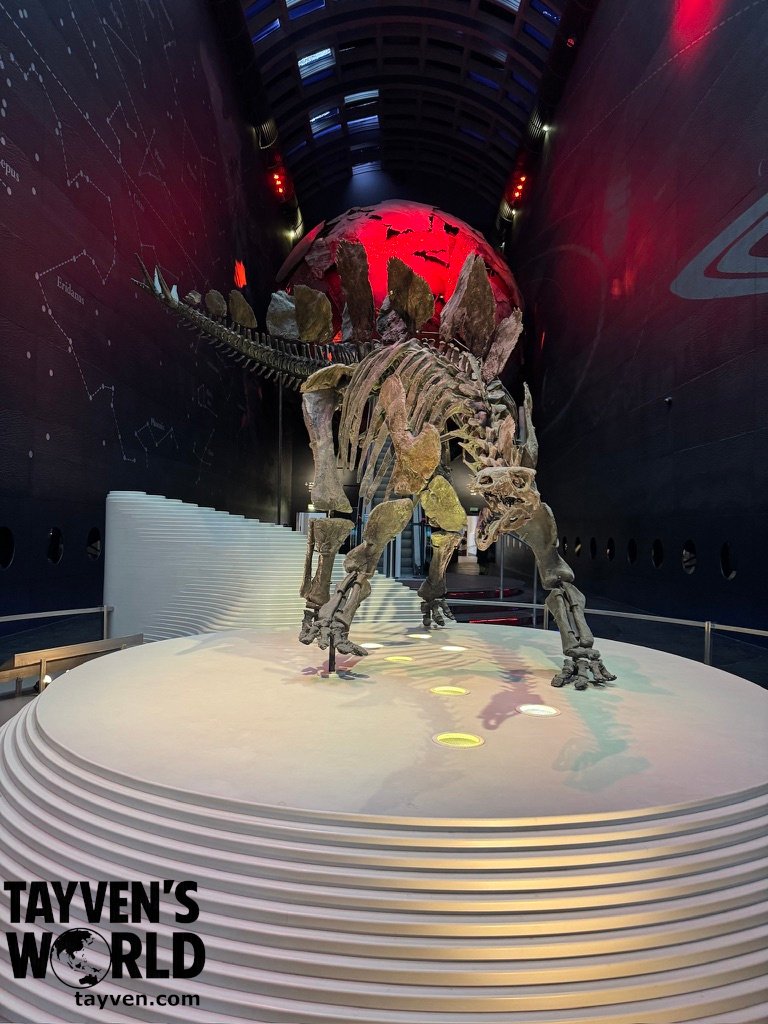 Skeleton of Sophie the Stegosaurus displayed under red lighting at the Natural History Museum in London.