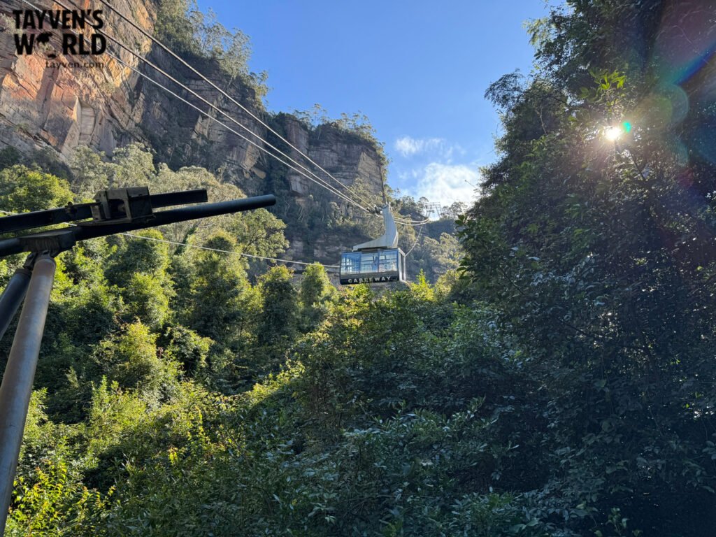 Cableway gondola gliding above lush forest and sandstone cliffs in the Blue Mountains.