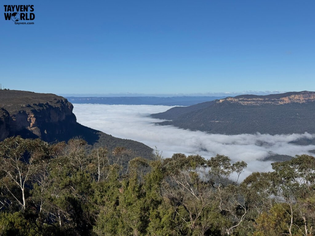Thick morning fog filling the Wentworth Falls valley, with cliffs and treetops rising above the mist.